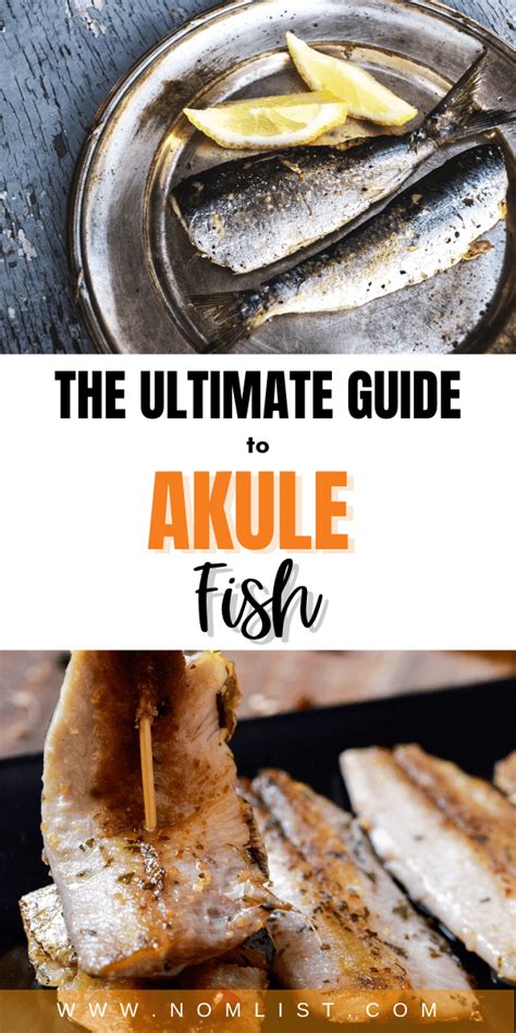 The Ultimate Guide to Akule Fish .
